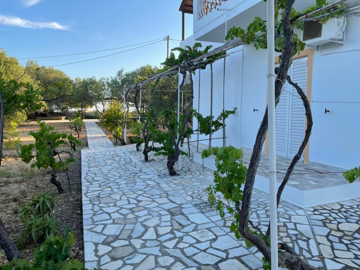 Andreas Studios Svoronata Luaran gambar