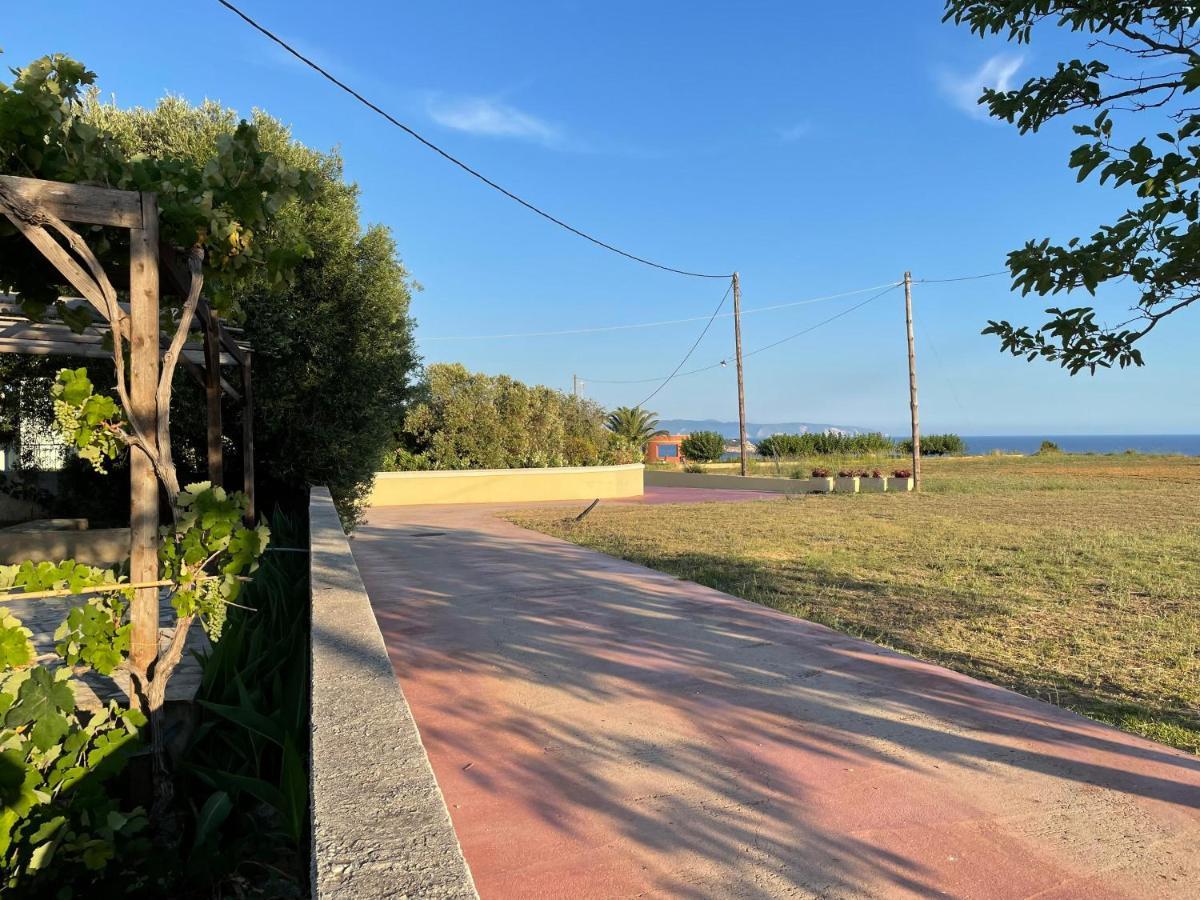 Andreas Studios Svoronata Luaran gambar